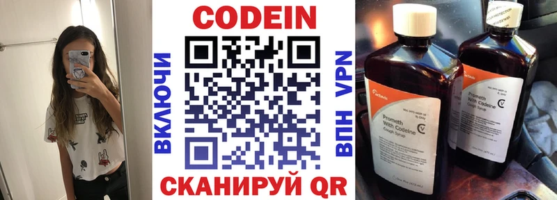 Купить закладки  Грязовец  Codein напиток Lean (лин) 
