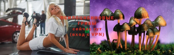 кокаин премиум Краснослободск