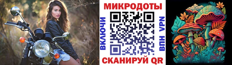 Купить закладки  Грязовец  Галлюциногенные грибы GOLDEN TEACHER 